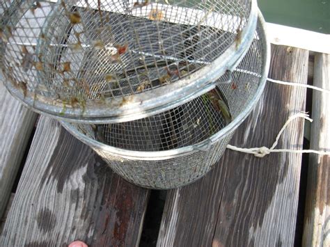 Get the most out of your fishing trip with the magic bait minnow trap